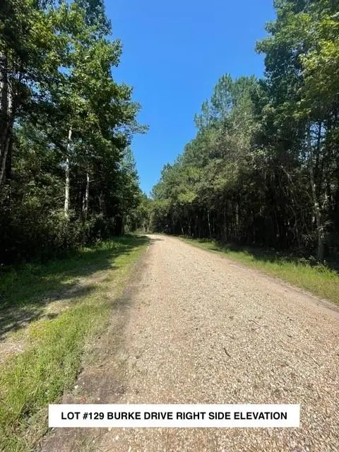 Lot #129 Burke Drive, Abita Springs, LA 70420 - #2