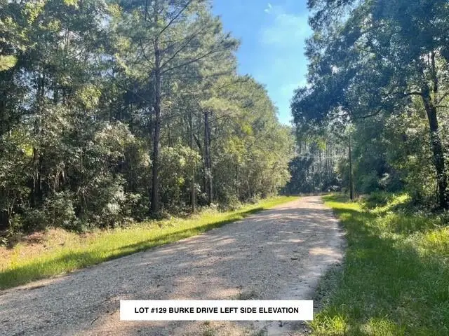 Lot #129 Burke Drive, Abita Springs, LA 70420 - #3