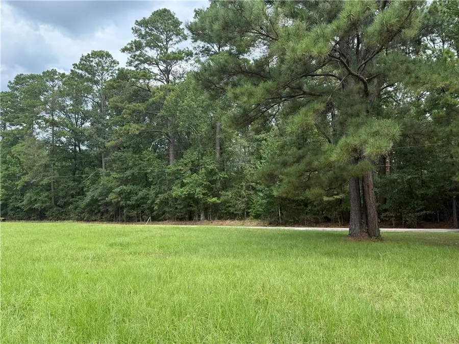 TBD Smetak Road, Deville, LA 71328 - #2