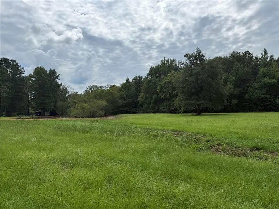 TBD Smetak Road, Deville, LA 71328 - #3