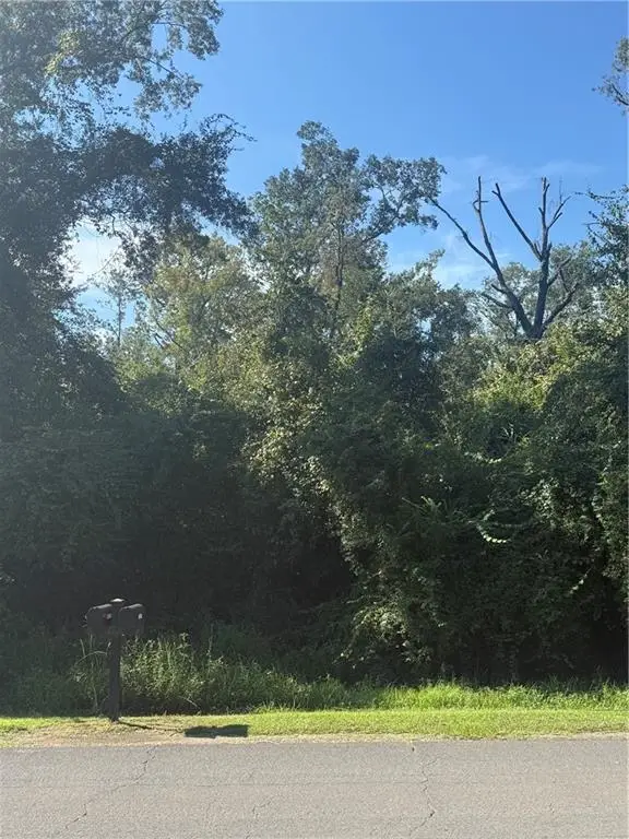 TBD Choctaw Drive, Tickfaw, LA 70466 - #3
