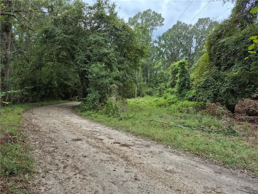 0 S River Road, Angie, LA 70426 - #3