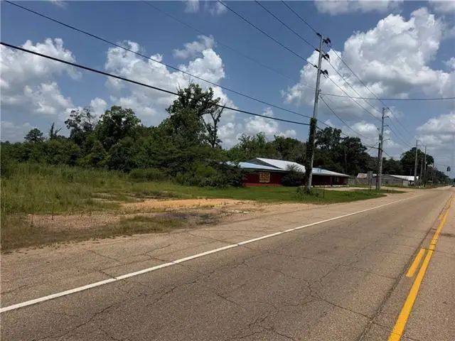 0 Hwy 51 Highway, Tangipahoa, LA 70465 - #2