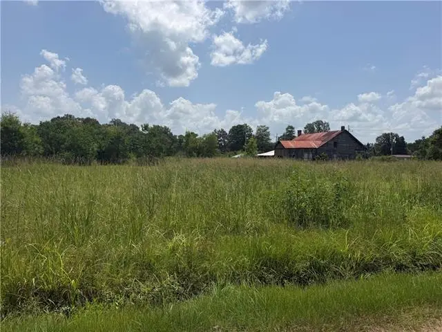 0 Hwy 51 Highway, Tangipahoa, LA 70465 - #3