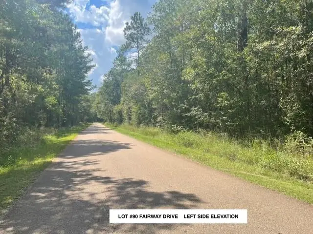 Lot #90 Fairway Drive, Abita Springs, LA 70420 - #3