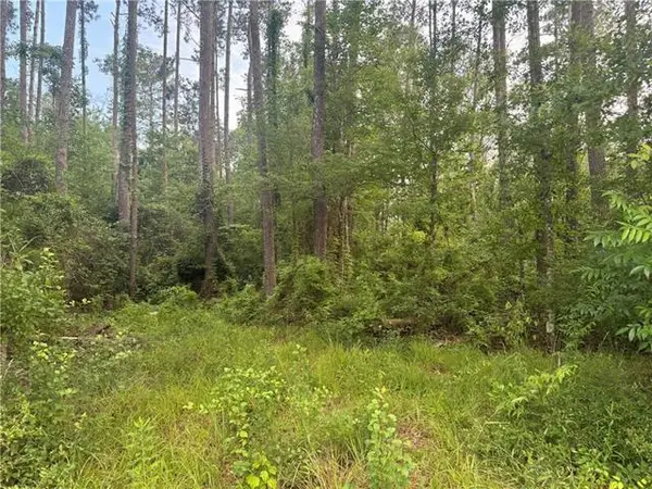 0 Russell Town Road, Roseland, LA 70456