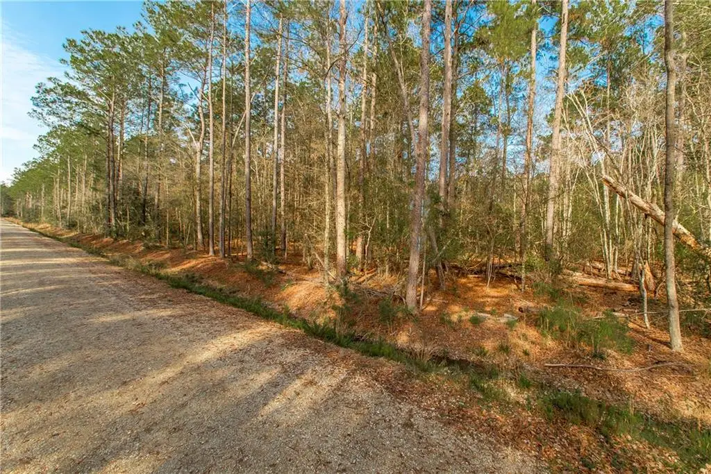 18382 Amore Way, Covington, LA 70435 - #1
