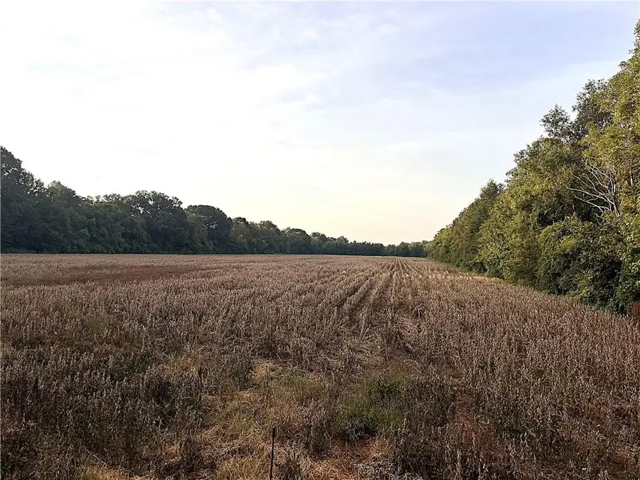 1180 Highway, Plaucheville, LA 71362 - #3