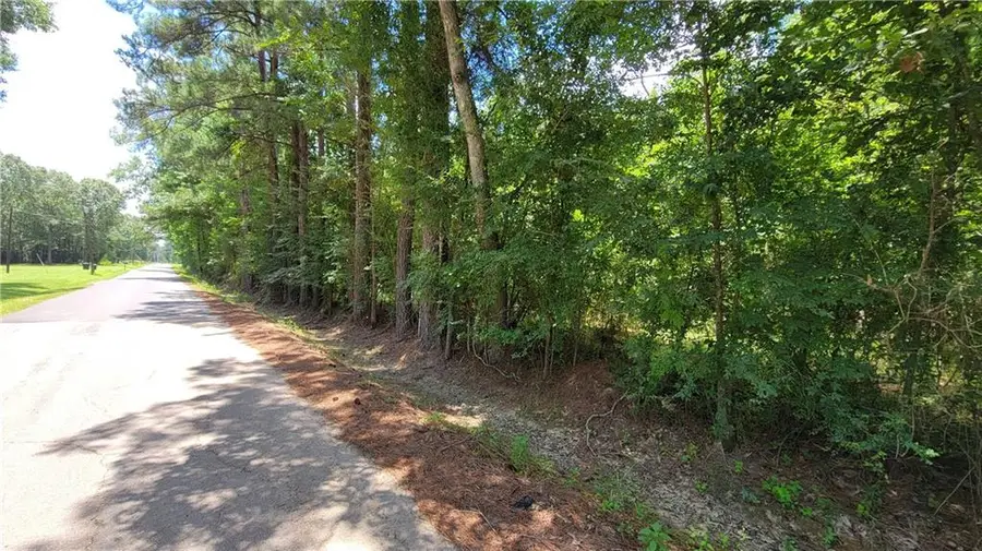 Stock Landing Road, Deville, LA 71328 - #3