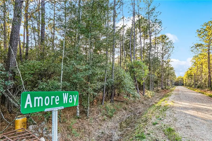 Tracts B-4,B-5 Amore Way, Covington, LA 70435 - #2
