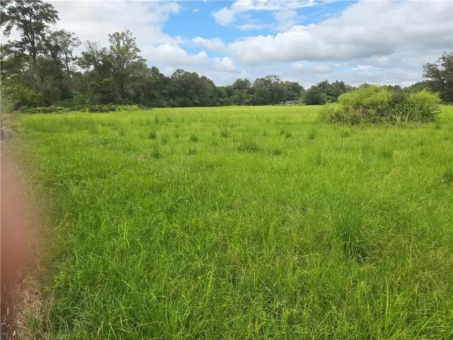 Highway 1065 4.42 Acres #2, Tickfaw, LA 70466 - #2