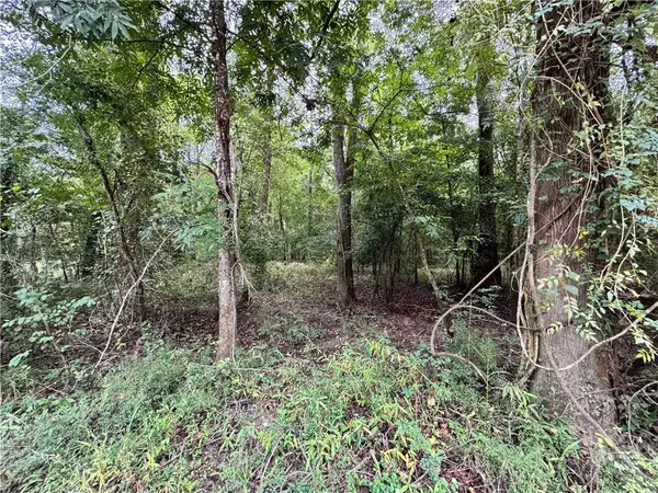 Lot 18 Pushepatappa Cut Off Road, Bogalusa, LA 70427