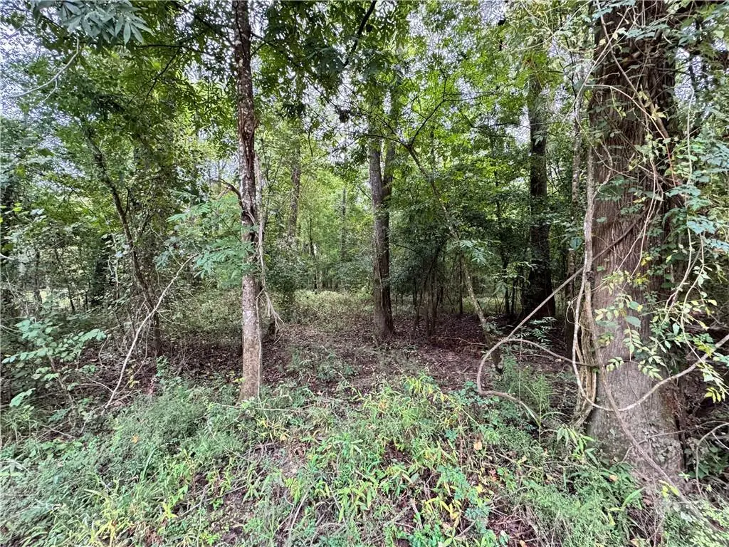 Lot 19 Pushepatappa Cut Off Road, Bogalusa, LA 70427 - #1