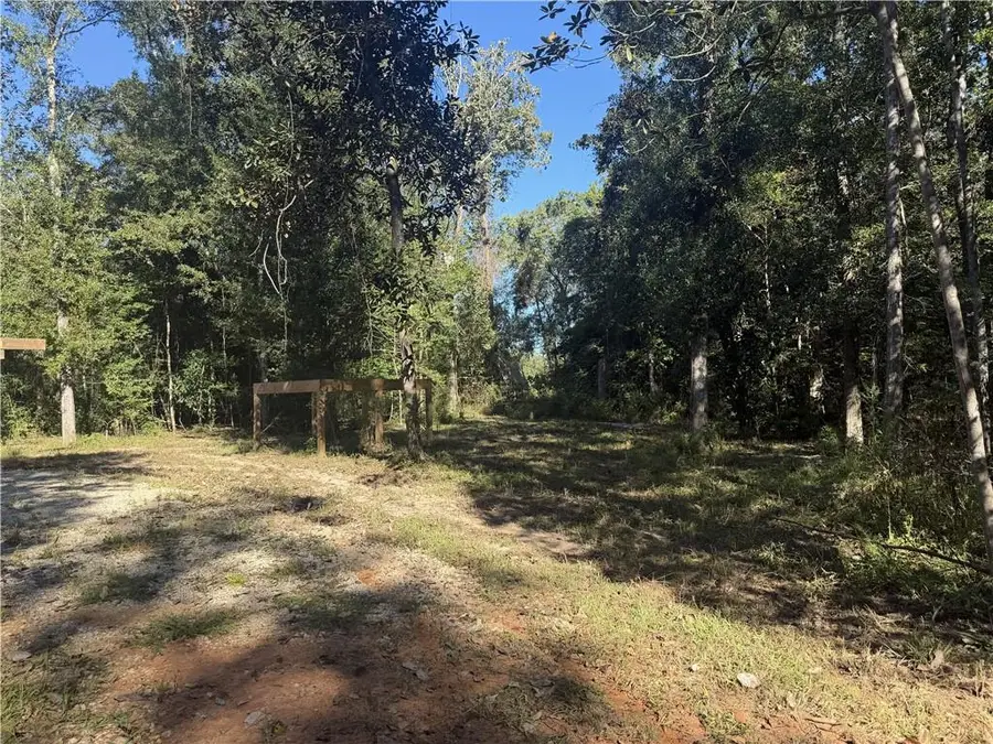 23483 Fletcher Isle Road, Ponchatoula, LA 70454 - #2
