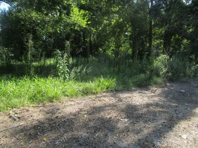 12414 Patricia Avenue, Port Allen, LA 70767 - #3