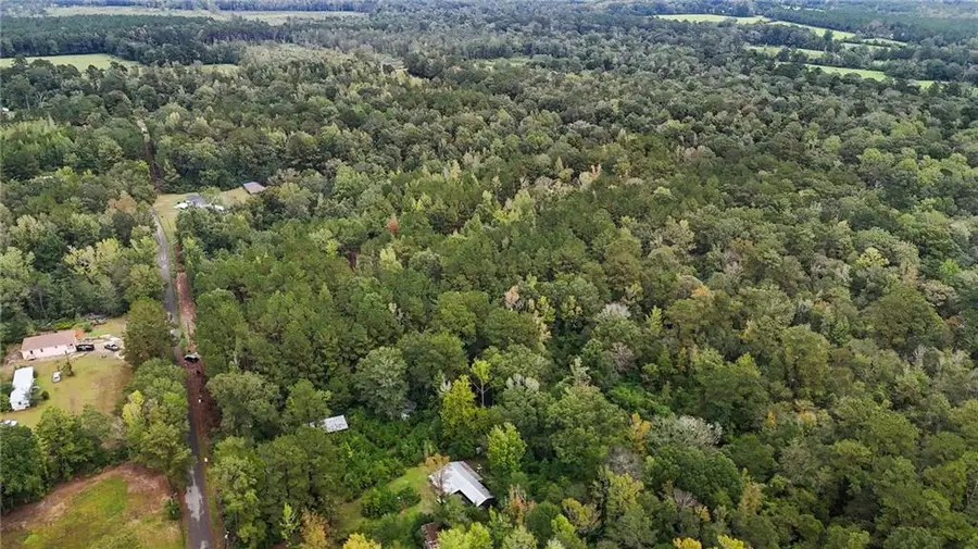 Tob Wilson Road, Franklinton, LA 70438 - #2