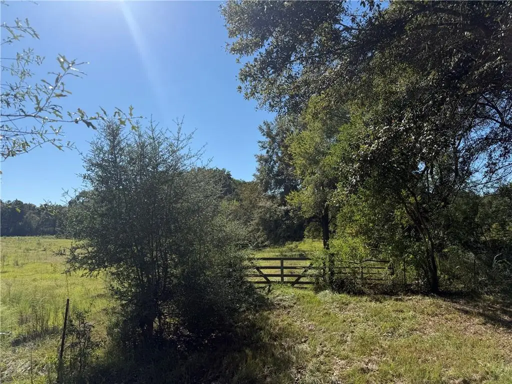 TBD Rev Bennett Road, Franklinton, LA 70438 - #1