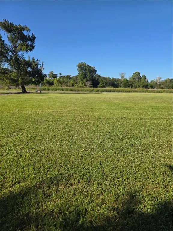 17349 La 631 Highway, Des Allemands, LA 70030 - #2