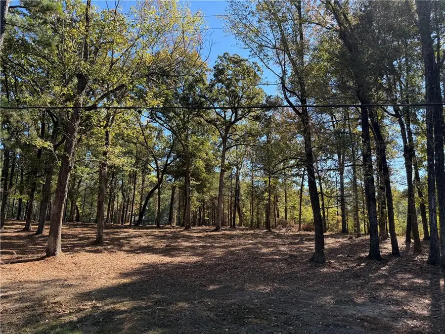 00 Hanger Road, Trout, LA 71371 - #3