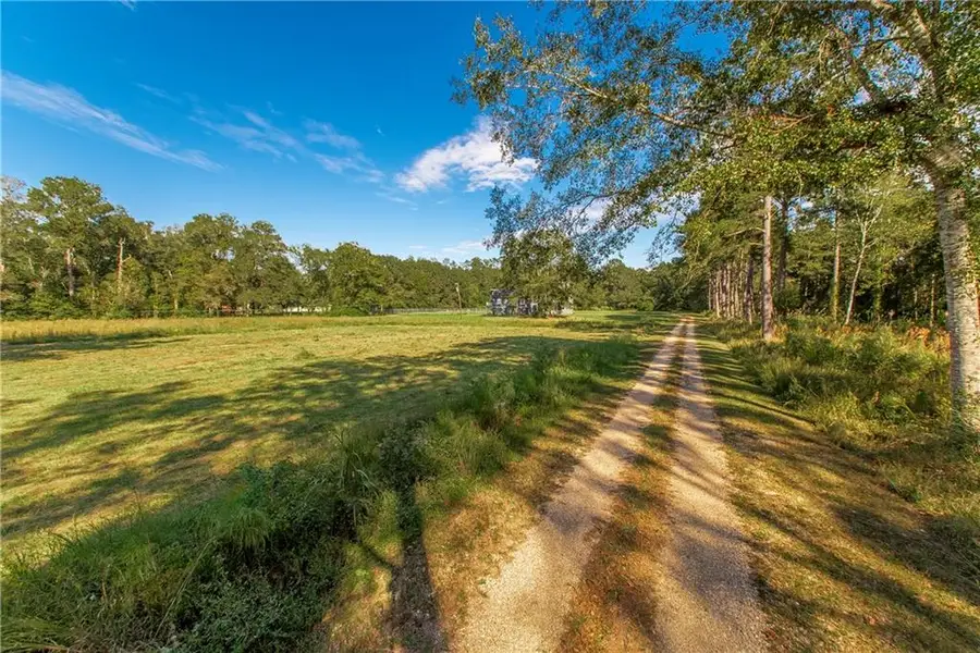 51016 Highway 1065 Highway, Independence, LA 70443 - #2