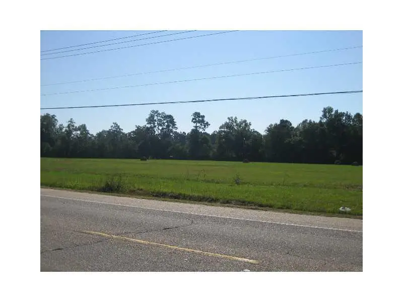 46375 E Hwy 190 / Myers Road, Hammond, LA 70403 - #1