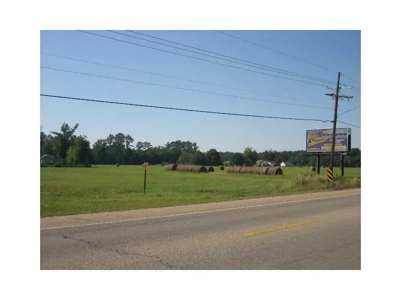 46375 E Hwy 190 / Myers Road, Hammond, LA 70403 - #3