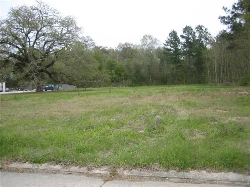 129 Robin Hood Boulevard, Hammond, LA 70403 - #2