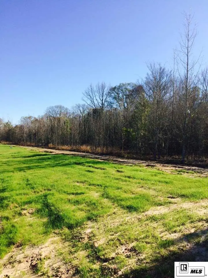 1215 Frenchmans Bend Road, Monroe, LA 71203 - #2