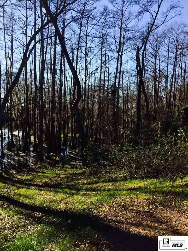 1215 Frenchmans Bend Road, Monroe, LA 71203 - #3