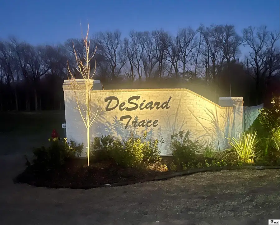 9153 Desiard Trace, Sterlington, LA 71280 - #2