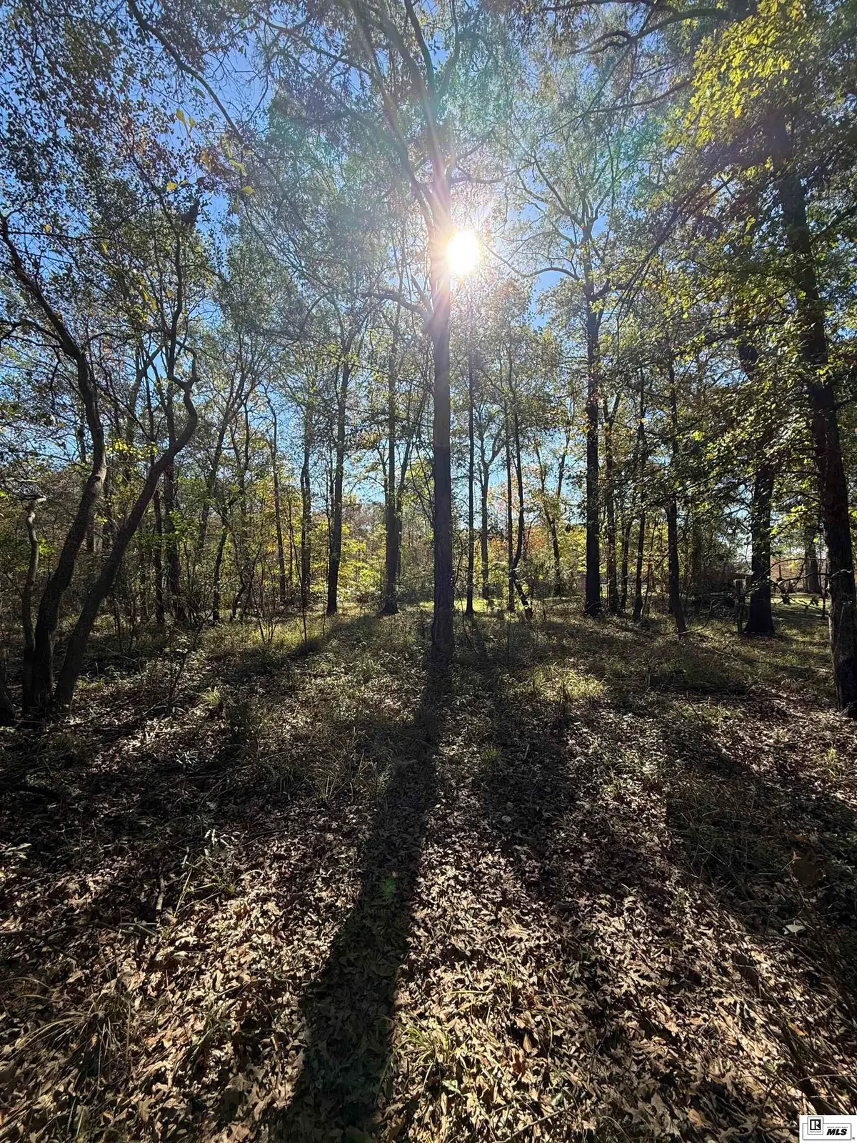 0 lot 3 Platts Landing, Bernice, LA 71222 - #1