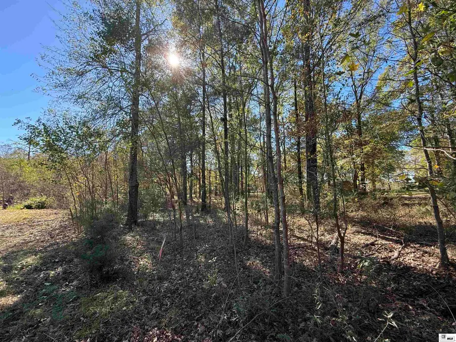 0 lot 3 Platts Landing, Bernice, LA 71222 - #2