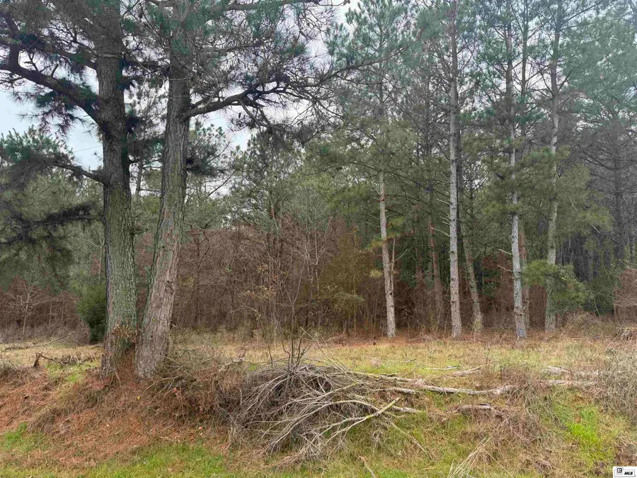 0 lot 1 Mcintosh Road, Bernice, LA 71222 - #2