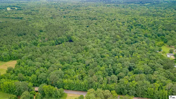 2502 Highway 151, Downsville, LA 71234