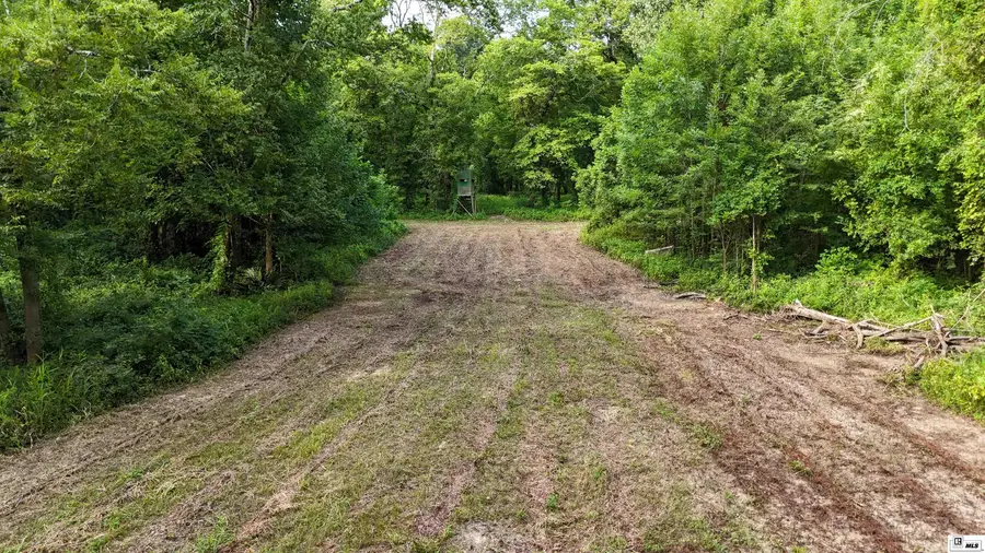 000 Rodney Bend Road, Lorman, MS 39096 - #2