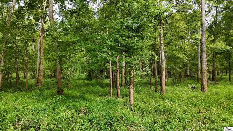 000 Rodney Bend Road, Lorman, MS 39096 - #3