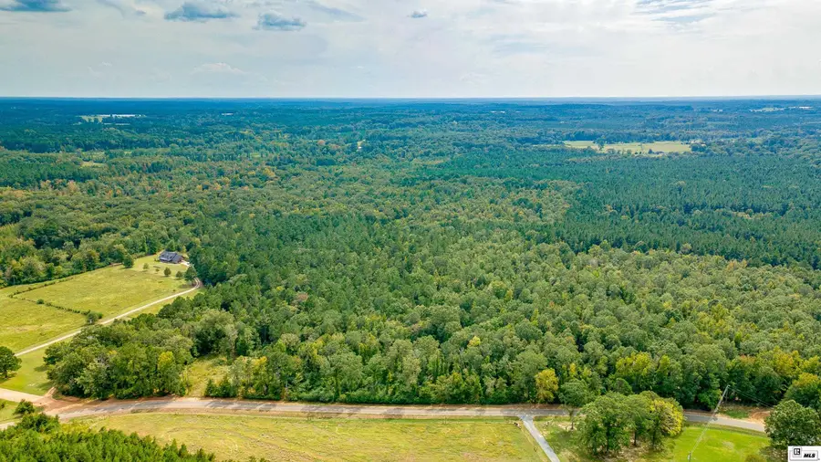 525 Patterson Road, Choudrant, LA 71227 - Image #2