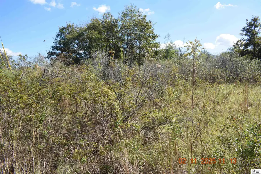 0 Plum Grove Road, Pioneer, LA 71266 - Image #2