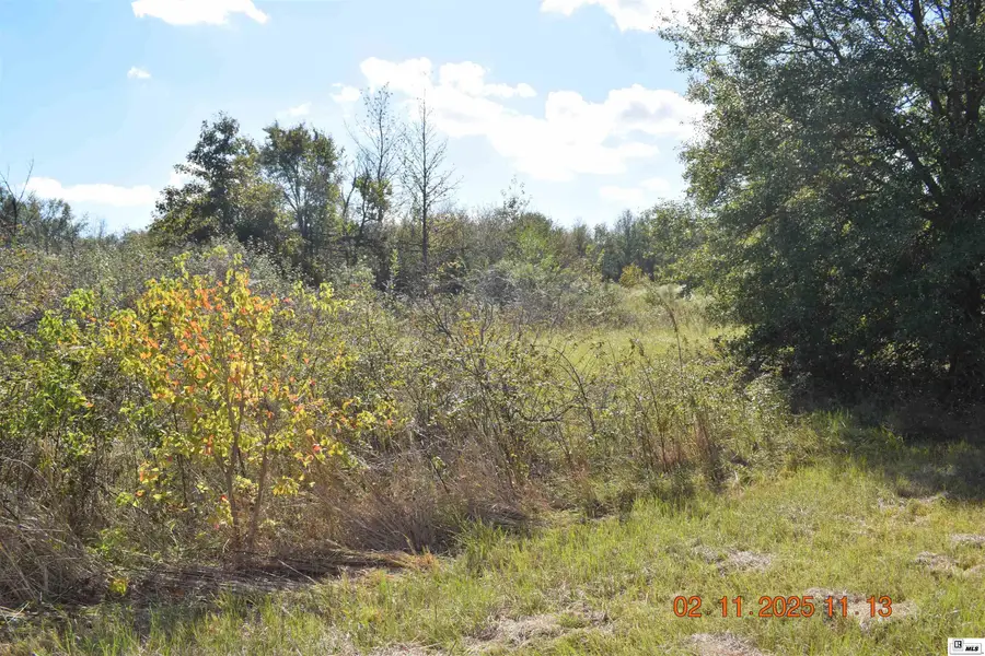 0 Plum Grove Road, Pioneer, LA 71266 - Image #3