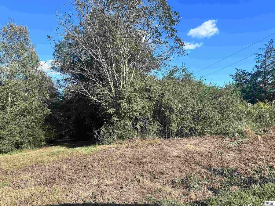 1511 Wpa Road, Delhi, LA 71232 - Image #2