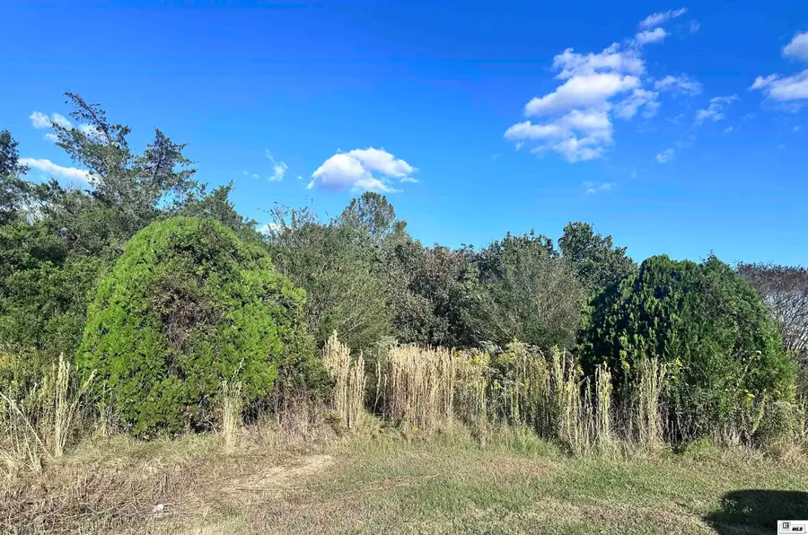 1511 Wpa Road, Delhi, LA 71232 - Image #3