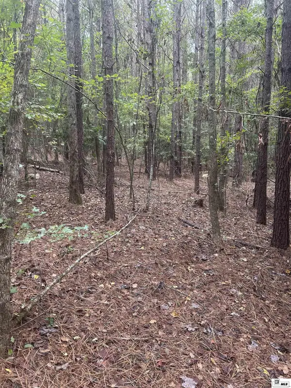 000 Salem Church Road, Farmerville, LA 71241