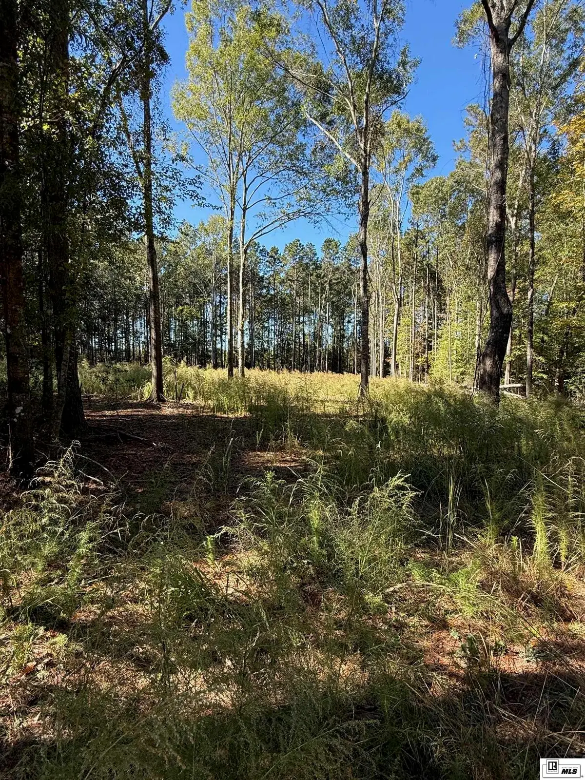 271 Dewberry Road, Jonesboro, LA 71251 - Image #1