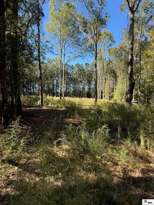 271 Dewberry Road, Jonesboro, LA 71251