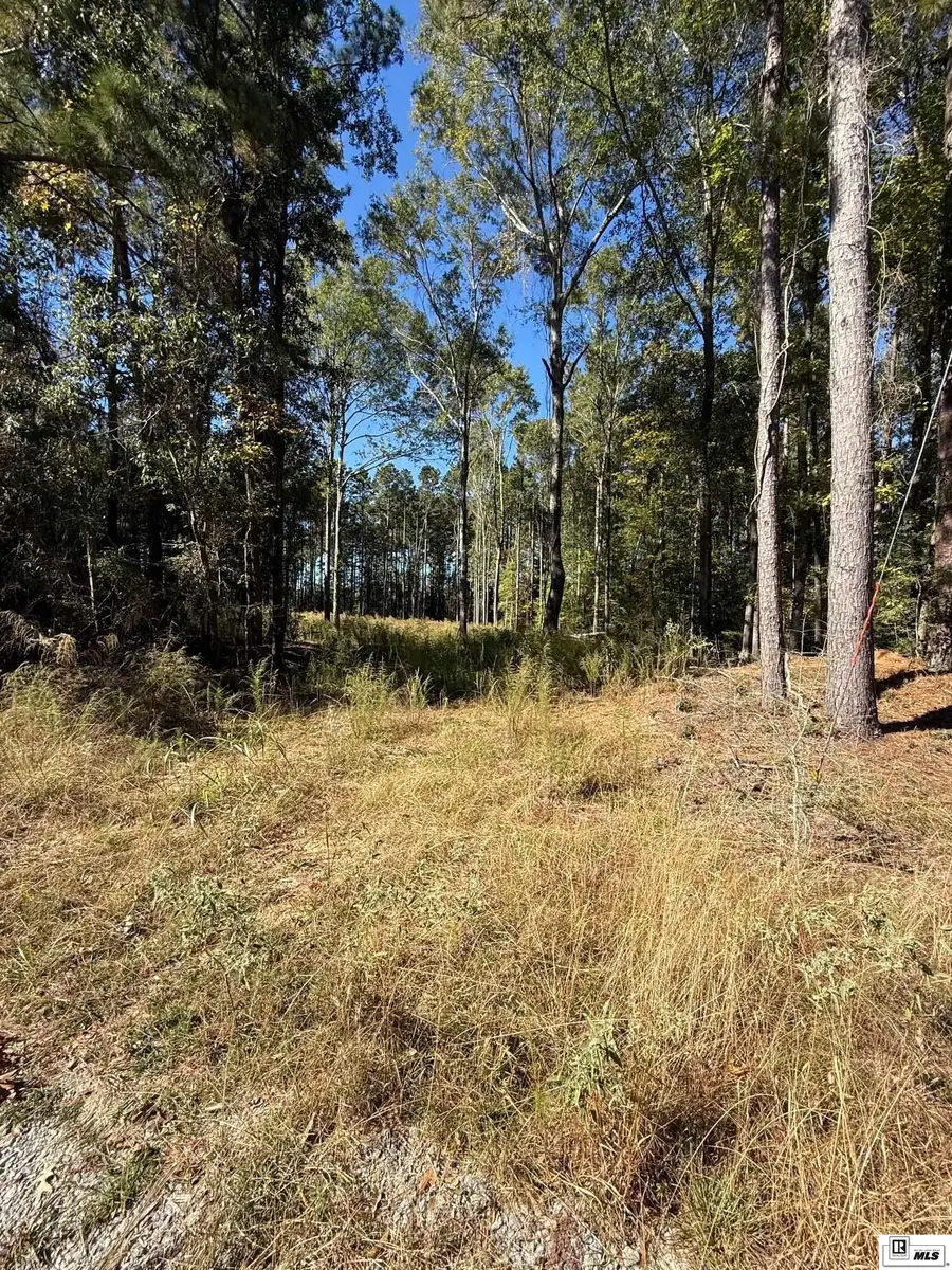 271 Dewberry Road, Jonesboro, LA 71251 - Image #3