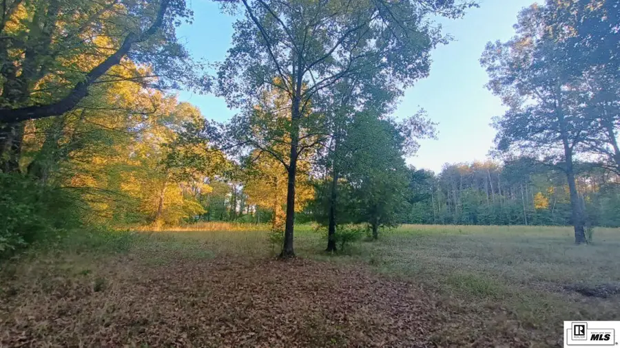 0000 Highway 854, Delhi, LA 71232 - Image #2