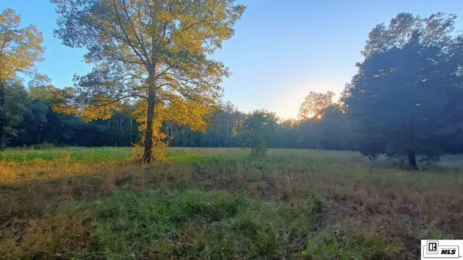 0000 Highway 854, Delhi, LA 71232 - Image #3