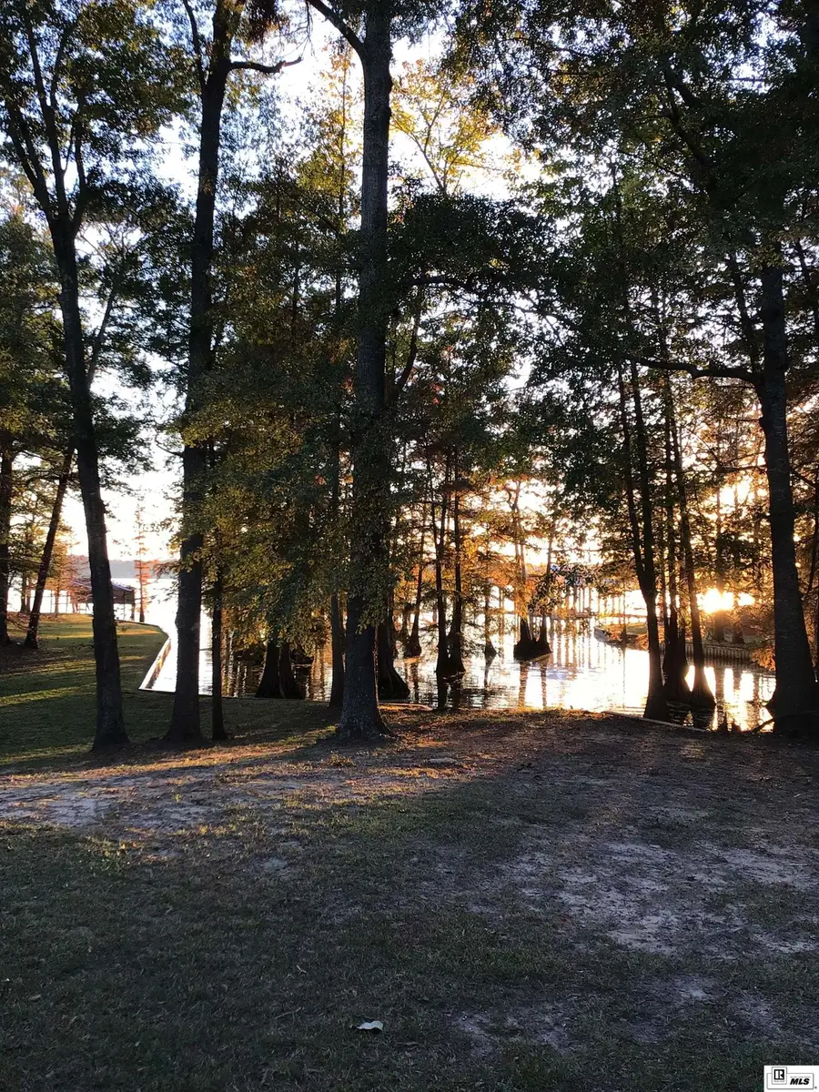 315 Baughman Lake Drive, Farmerville, LA 71241 - Image #3