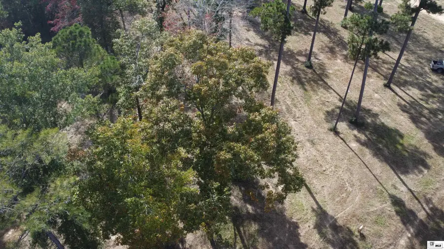 000 Eagle Point Drive, Chatham, LA 71226 - Image #3