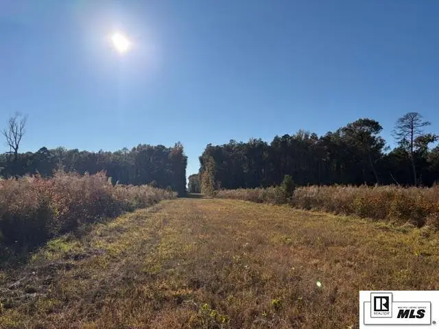 123 Sulphur Springs Road, Bastrop, LA 71220 - Image #1